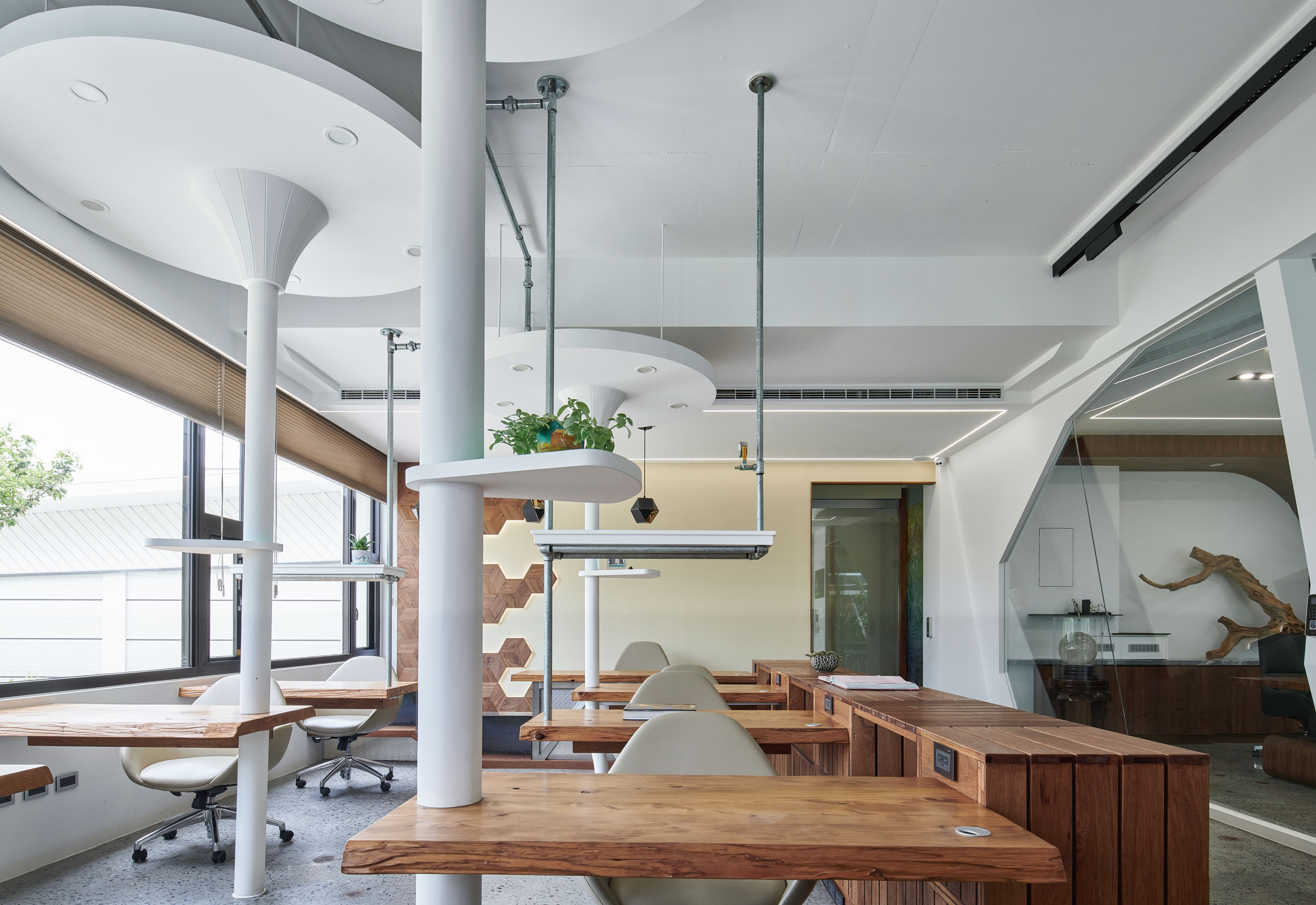 The Realm of Wandering Forests